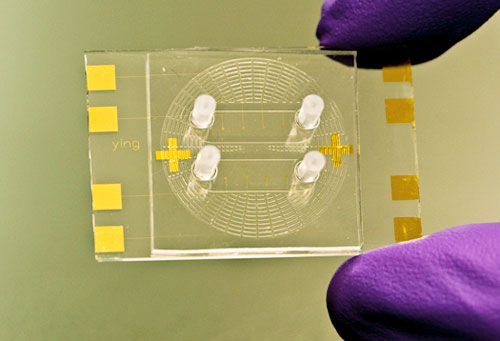 Nhà khoa học Mỹ phát triển chip mới chẩn đoán lao