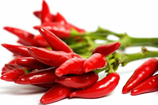 Nghiên cứu ớt để tìm cách trị chứng đau nửa đầu