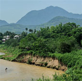 Nguy cơ mất diện tích rừng ở tiểu vùng sông Mekong