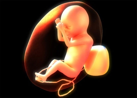 Xét nghiệm nhau thai giúp phát hiện nguy cơ tự kỷ