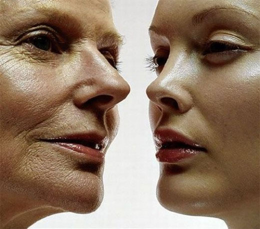 Xác định vùng kiểm soát quá trình già đi trong não bộ
