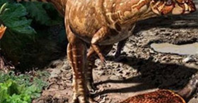 Phát hiện hóa thạch của khủng long nhỏ như loài chó