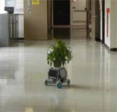 Robot chăm sóc cây cảnh
