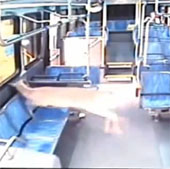 Video: Hươu đâm thủng kính xe buýt