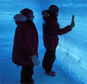 Lại phát hiện rệp băng trong các lớp băng Nam Cực