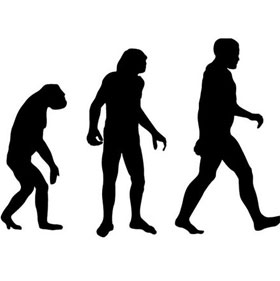 Tại sao mọi loài linh trưởng không tiến hóa thành người?