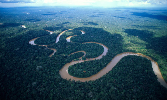 Sông Amazon thải ra hầu hết lượng carbon đã hấp thụ bởi rừng Amazon -  KhoaHoc.tv
