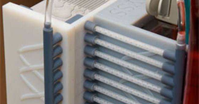 Mỹ phát triển "lá lách nhân tạo"