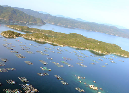Máy bay không người lái chụp ảnh hệ sinh thái biển