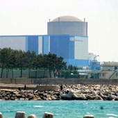 Điện hạt nhân Hàn Quốc dính hàng nhái
