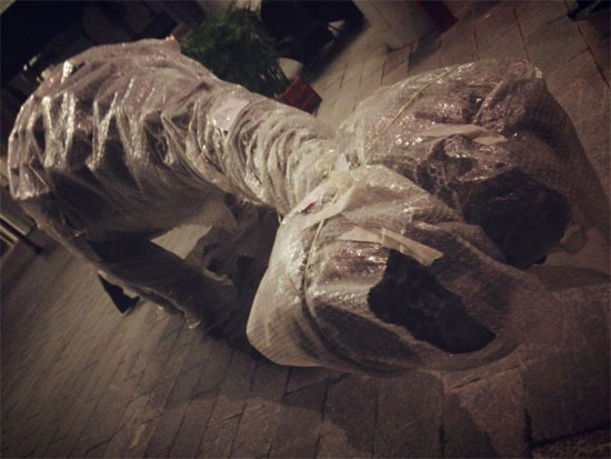 Bất ngờ xuất hiện "khủng long” khổng lồ tại Hà Nội