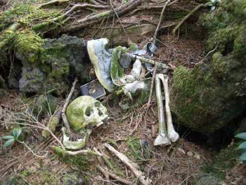 Bộ xương trong ảnh được chụp từ khu rừng Aokigahara