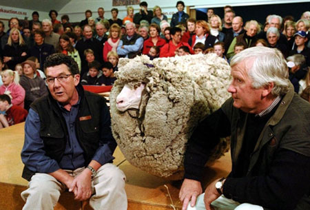 New Zealand tưởng niệm chú cừu ngôi sao