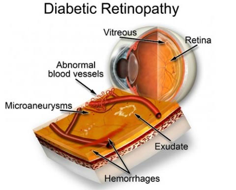 Đôi điều ít biết về 