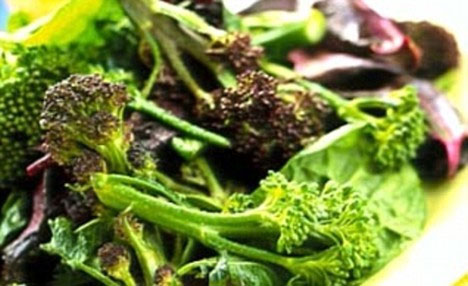Vitamin K hỗ trợ quá trình đông máu