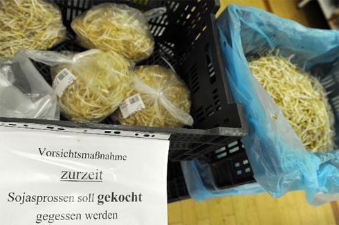 Tìm thấy khuẩn E.coli chết người trên giá đỗ 