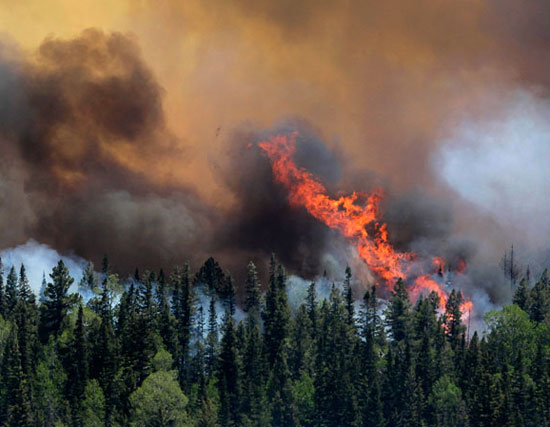 Báo động đỏ nguy cơ cháy rừng Tây Nam của Mỹ