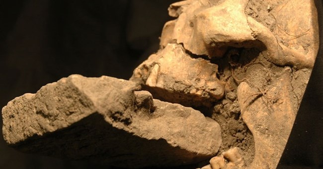 Miệng hài cốt thế kỷ 16 bị nhét gạch là ma cà rồng?