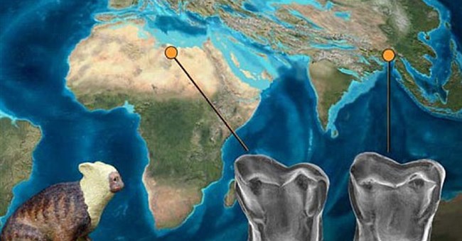 Loài người có gốc gác từ châu Á?