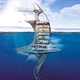 SeaOrbiter -  Trạm nghiên cứu đại dương trong mơ