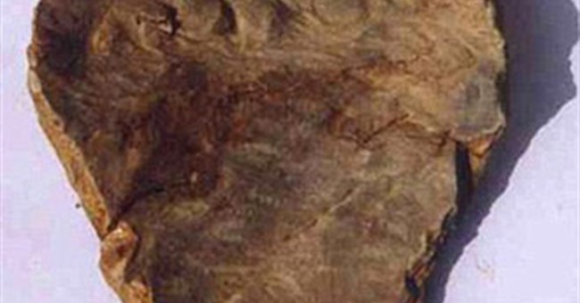 Phát hiện mảnh gốm cổ nhất thế giới
