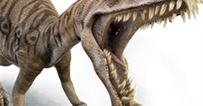 Phát hiện cá thể khủng long sâu răng đầu tiên