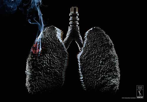 Thuốc lá là sản phẩm được sử dụng rộng rãi trên toàn thế giới. Hãy xem hình ảnh liên quan để tìm hiểu thêm về lịch sử và ảnh hưởng của việc sử dụng thuốc lá đến cuộc sống của con người.