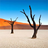 Nghĩa địa "ngoài hành tinh" giữa lòng sa mạc châu Phi