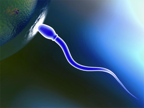 Stress gây biến đổi gene của 