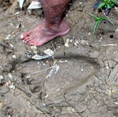 Dấu chân người khổng lồ bí hiểm ở Malaysia