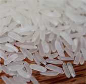 Nhật Bản chuyển giao công nghệ chế biến gạo cho Việt Nam