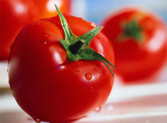 Cà chua từng bị coi là "táo độc" suốt 200 năm