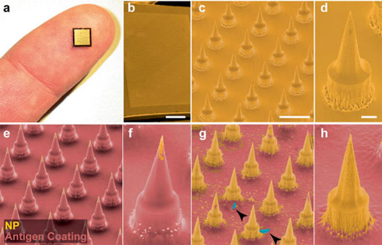 Miếng dán tiêm thuốc không đau Nanopatch