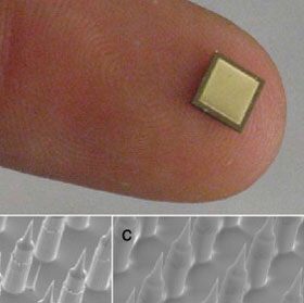 Miếng dán tiêm thuốc không đau Nanopatch