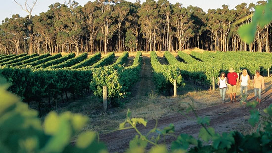 Khám phá “thiên đường xanh” Margaret River