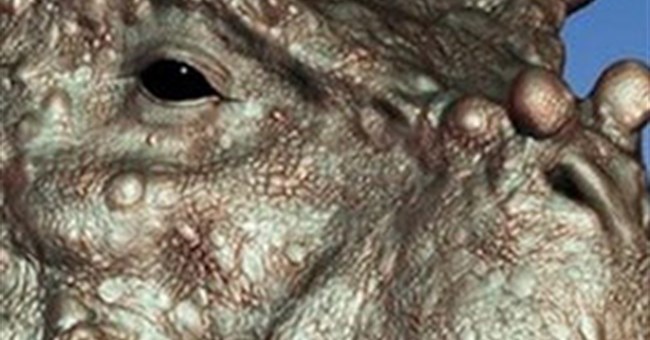 Phát hiện hóa thạch bò sát xấu xí, đầu đầy bướu