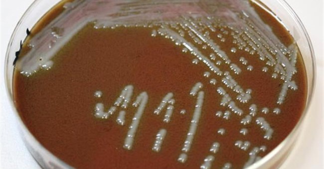 Vi khuẩn gây độc vượt qua hệ thống phòng thủ cơ thể như thế nào?