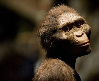 Phát hiện mới về người tiền sử 