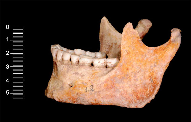 Tìm thấy ADN cổ nhất của loài người 