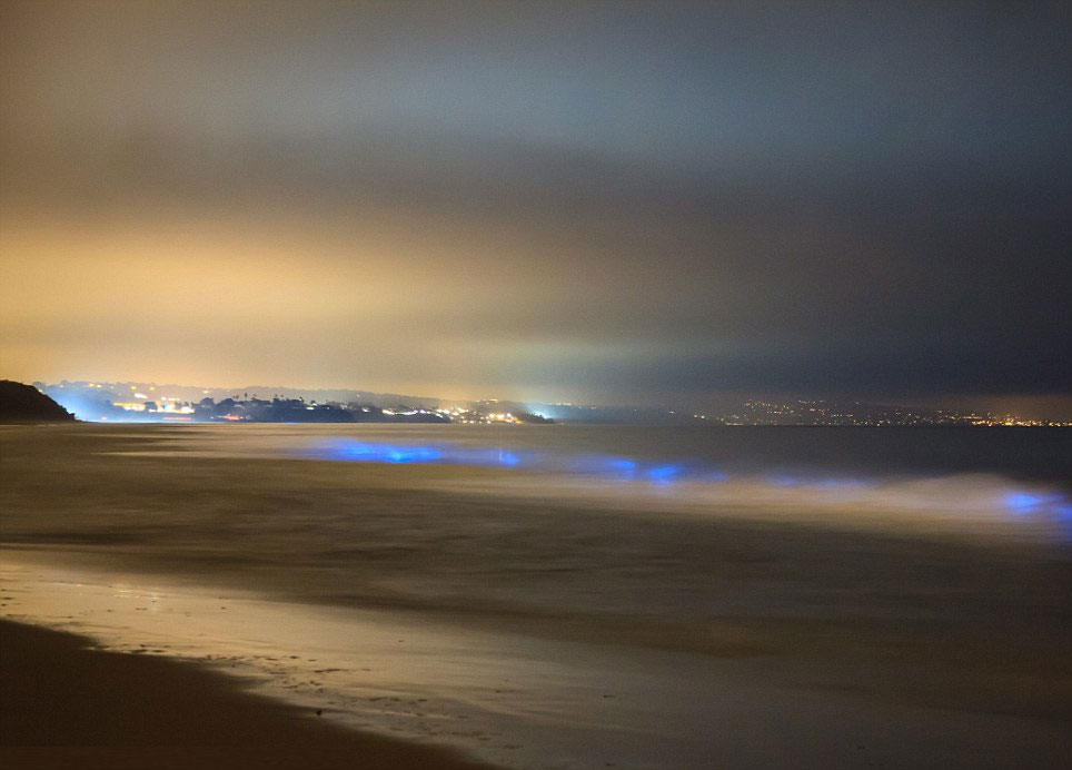 Sóng biển xanh bí ẩn lúc nửa đêm ở California