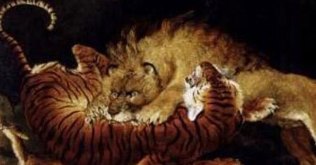 Khi hổ "chiến" sư tử, ai thắng? 