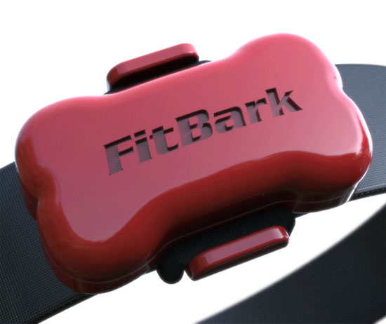 FitBark theo dõi vật nuôi