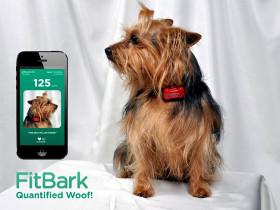 FitBark theo dõi vật nuôi