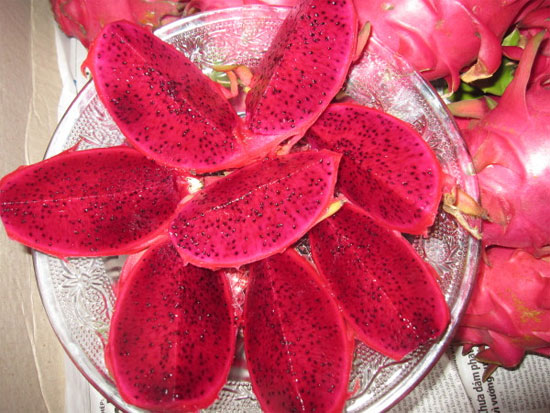 Lai tạo thành công giống thanh long có ruột tím hồng