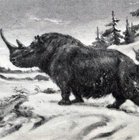 Nga phát hiện hóa thạch tê giác hàng ngàn năm tuổi
