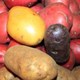 Cách đơn giản loại bỏ độc tố trong khoai