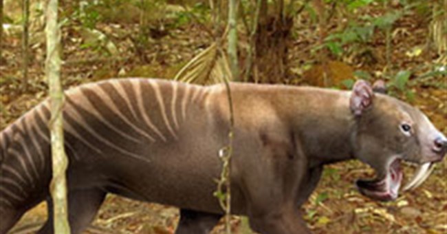 Lạ kỳ quái thú cổ đại cắn không đau bằng mèo