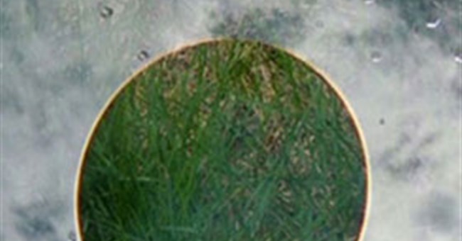 Màn hình chống lóa tự làm sạch