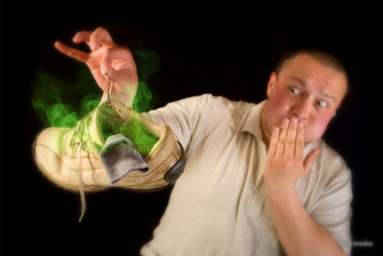 Các mùi hương 