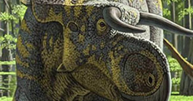 Phát hiện khủng long mũi to, mặt sừng
